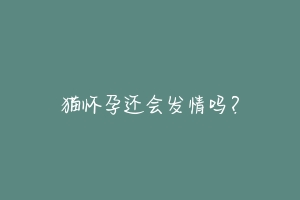 猫怀孕还会发情吗？