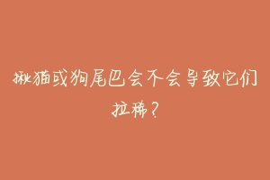 揪猫或狗尾巴会不会导致它们拉稀？