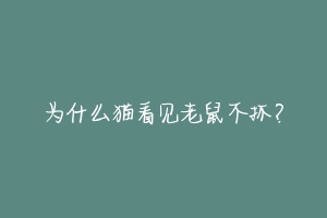 为什么猫看见老鼠不抓？