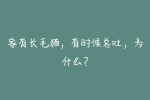 家有长毛猫，有时候总吐，为什么？