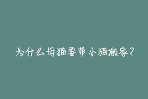 为什么母猫要带小猫搬家？