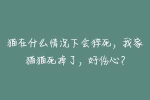 猫在什么情况下会猝死，我家猫猫死掉了，好伤心？