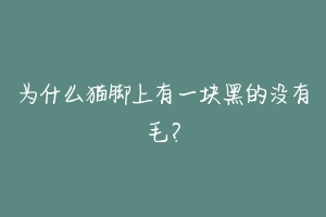 为什么猫脚上有一块黑的没有毛？