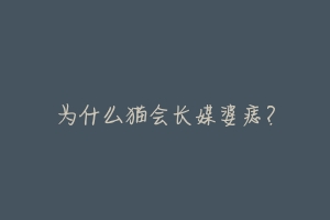 为什么猫会长媒婆痣？