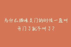 为什么猫咪关门的时候一直叫开门了就不叫了？