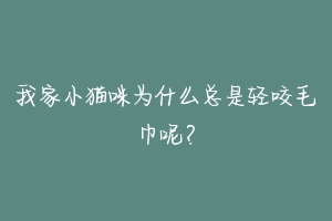 我家小猫咪为什么总是轻咬毛巾呢？