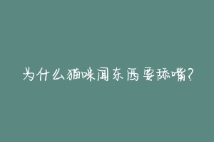 为什么猫咪闻东西要舔嘴？