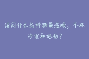 请问什么品种猫最温顺，不抓沙发和地板？