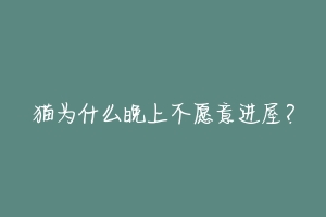 猫为什么晚上不愿意进屋？