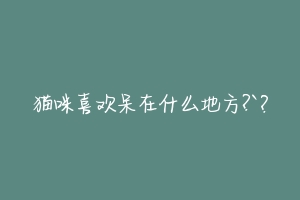 猫咪喜欢呆在什么地方?`？