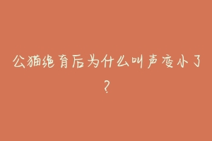 公猫绝育后为什么叫声变小了？