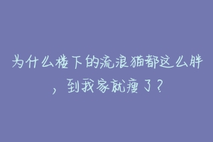 为什么楼下的流浪猫都这么胖，到我家就瘦了？