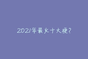 2021年最火十大梗？