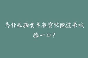 为什么猫会半夜突然跑过来咬脸一口？