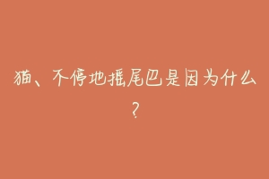 猫、不停地摇尾巴是因为什么？