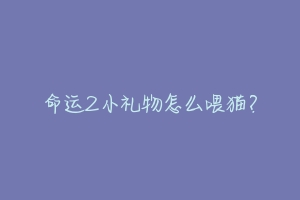 命运2小礼物怎么喂猫？