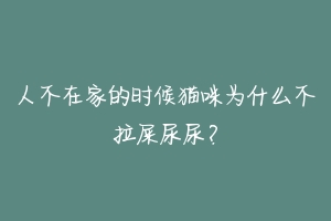 人不在家的时候猫咪为什么不拉屎尿尿？