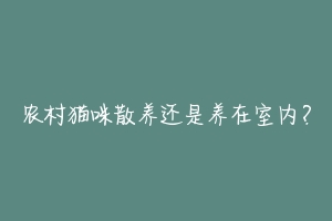 农村猫咪散养还是养在室内？