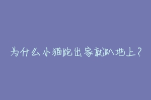 为什么小猫跑出家就趴地上？