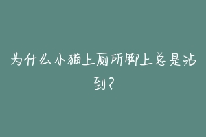 为什么小猫上厕所脚上总是沾到？