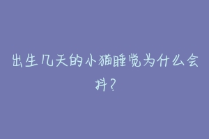 出生几天的小猫睡觉为什么会抖？