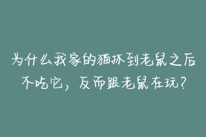 为什么我家的猫抓到老鼠之后不吃它，反而跟老鼠在玩？