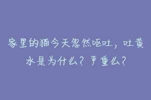 家里的猫今天忽然呕吐，吐黄水是为什么？严重么？