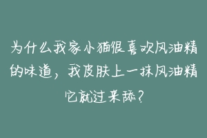 为什么我家小猫很喜欢风油精的味道，我皮肤上一抹风油精它就过来舔？