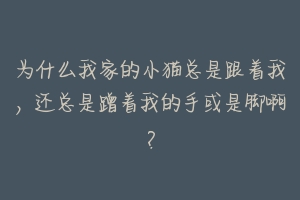 为什么我家的小猫总是跟着我，还总是蹭着我的手或是脚啊？