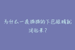 为什么一摸猫猫的下巴眼睛就闭起来？