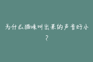 为什么猫咪叫出来的声音好小？