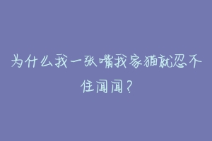 为什么我一张嘴我家猫就忍不住闻闻？