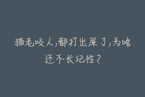 猫老咬人,都打出屎了,为啥还不长记性？