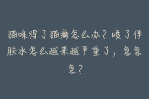 猫咪得了猫癣怎么办？喷了伴肤水怎么越来越严重了，急急急？