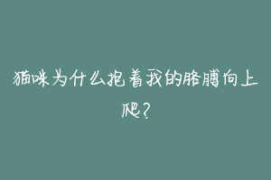 猫咪为什么抱着我的胳膊向上爬？