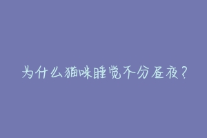 为什么猫咪睡觉不分昼夜？