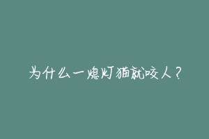 为什么一熄灯猫就咬人？