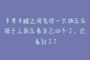 半梦半醒之间觉得一只猫压在被子上面压着自己动不了，还看到了？