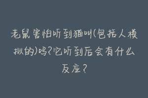 老鼠害怕听到猫叫(包括人模拟的)吗?它听到后会有什么反应？