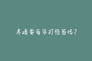 养鸡要每年打役苗吗？