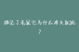 猫见了老鼠它为什么掉头就跑？