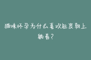 猫咪怀孕为什么喜欢肚皮朝上躺着？