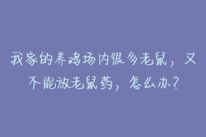 我家的养鸡场内很多老鼠，又不能放老鼠药，怎么办？