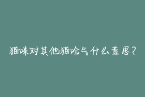 猫咪对其他猫哈气什么意思？