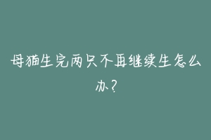 母猫生完两只不再继续生怎么办？