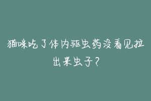 猫咪吃了体内驱虫药没看见拉出来虫子？