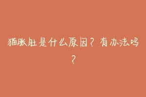 猫胀肚是什么原因？有办法吗？