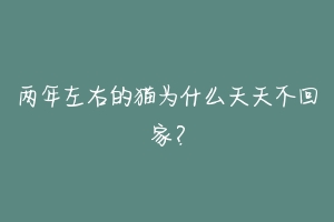 两年左右的猫为什么天天不回家？