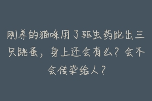 刚养的猫咪用了驱虫药跑出三只跳蚤，身上还会有么？会不会传染给人？