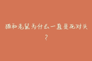 猫和老鼠为什么一直是死对头？